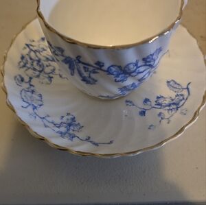 Mid 19th Century Coalport Tea Cup and Saucer